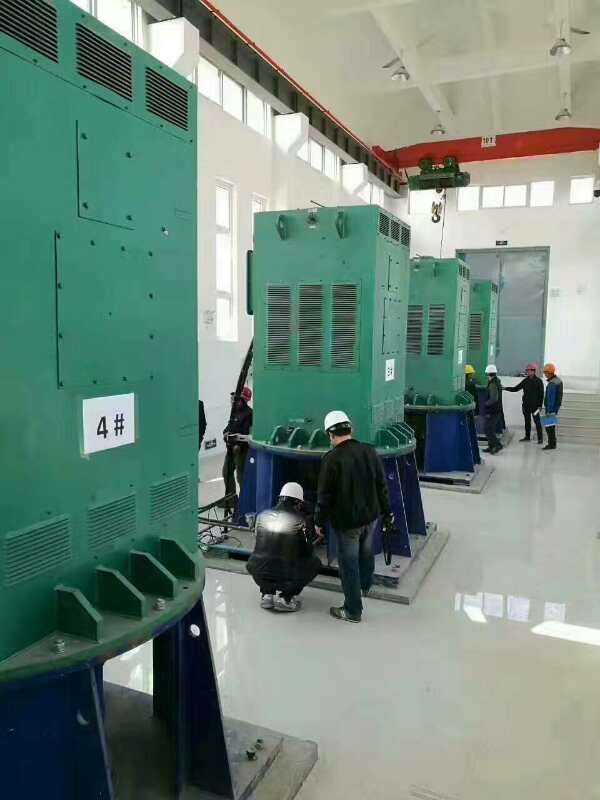YJTFKK4503-6某污水处理厂使用我厂的立式高压电机安装现场
