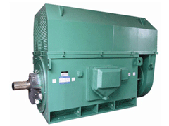 YJTFKK4503-6Y系列6KV高压电机
